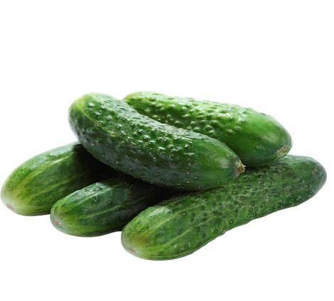 Cucumber Irtysh